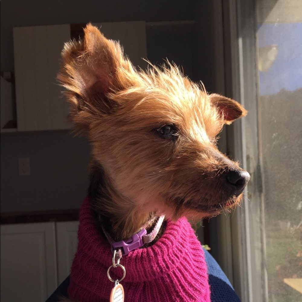 Meet your Posher, Marie